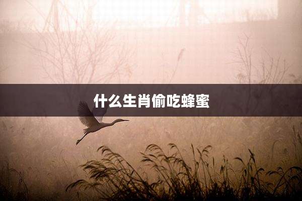 什么生肖偷吃蜂蜜