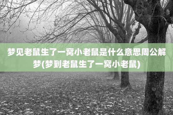 梦见老鼠生了一窝小老鼠是什么意思周公解梦(梦到老鼠生了一窝小老鼠)