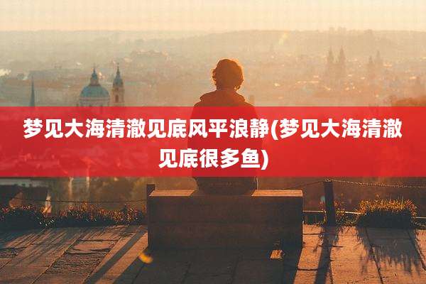 梦见大海清澈见底风平浪静(梦见大海清澈见底很多鱼)