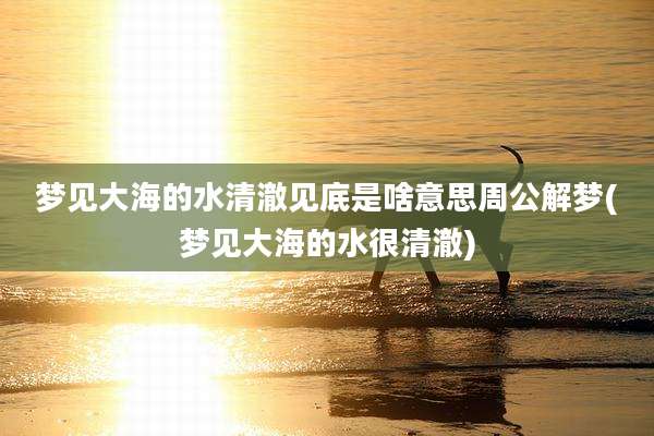 梦见大海的水清澈见底是啥意思周公解梦(梦见大海的水很清澈)