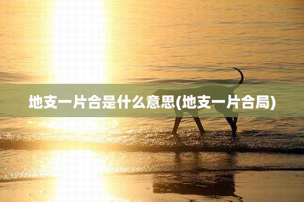 地支一片合是什么意思(地支一片合局)
