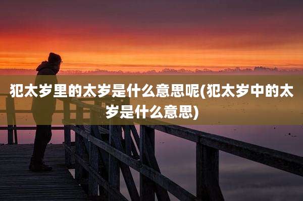 犯太岁里的太岁是什么意思呢(犯太岁中的太岁是什么意思)