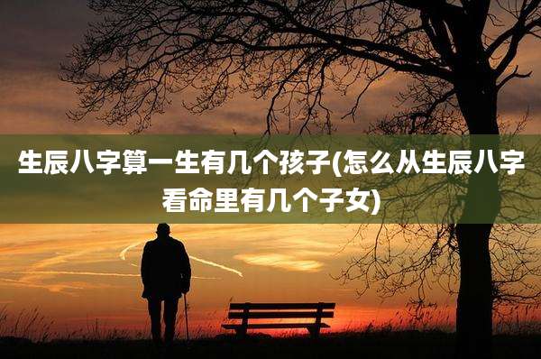 生辰八字算一生有几个孩子(怎么从生辰八字看命里有几个子女)