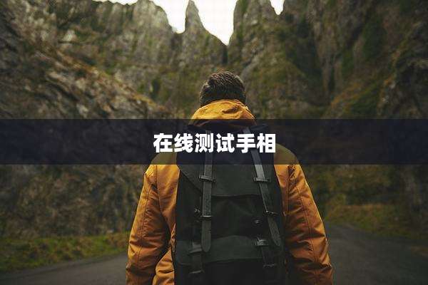 在线测试手相