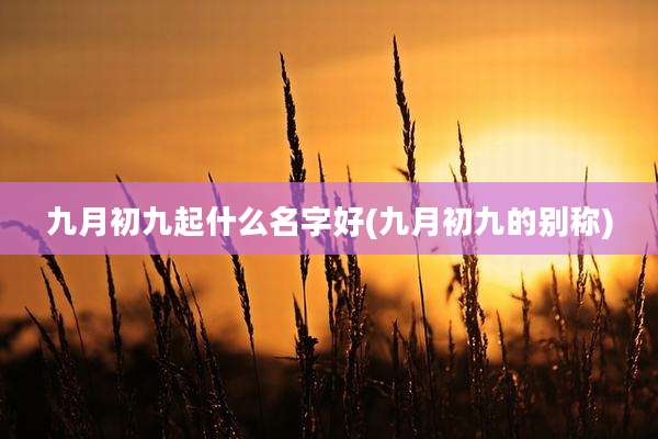 九月初九起什么名字好(九月初九的别称)
