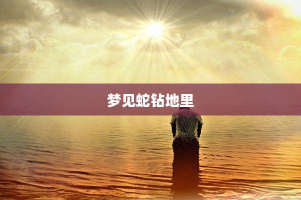 梦见蛇钻地里