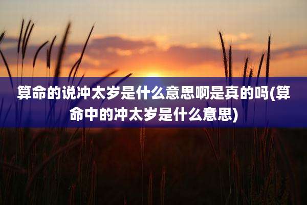 算命的说冲太岁是什么意思啊是真的吗(算命中的冲太岁是什么意思)