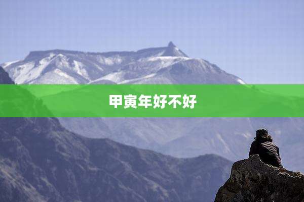甲寅年好不好
