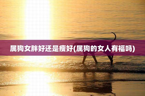 属狗女胖好还是瘦好(属狗的女人有福吗)