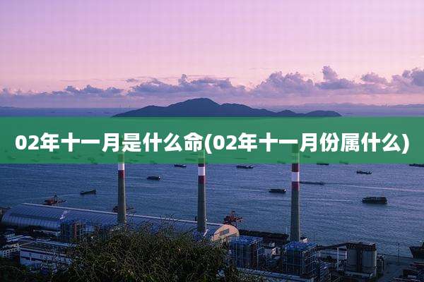02年十一月是什么命(02年十一月份属什么)