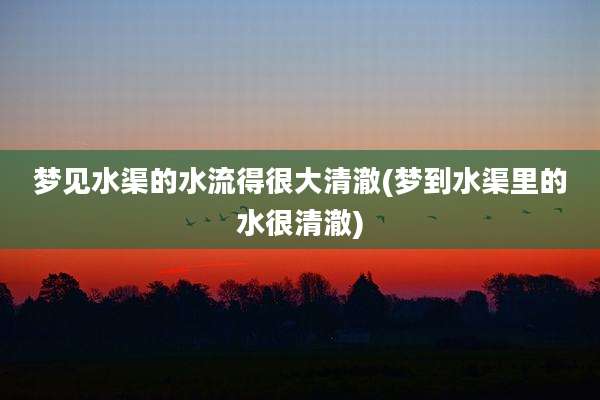 梦见水渠的水流得很大清澈(梦到水渠里的水很清澈)