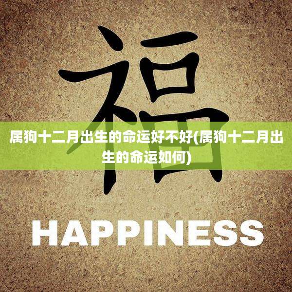 属狗十二月出生的命运好不好(属狗十二月出生的命运如何)