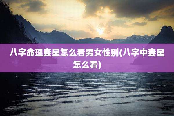 八字命理妻星怎么看男女性别(八字中妻星怎么看)