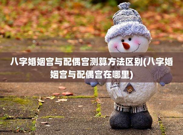 八字婚姻宫与配偶宫测算方法区别(八字婚姻宫与配偶宫在哪里)