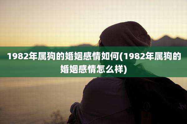 1982年属狗的婚姻感情如何(1982年属狗的婚姻感情怎么样)
