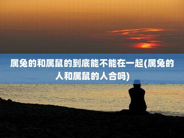属兔的和属鼠的到底能不能在一起(属兔的人和属鼠的人合吗)
