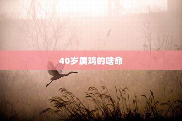 40岁属鸡的啥命