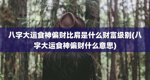 八字大运食神偏财比肩是什么财富级别(八字大运食神偏财什么意思)