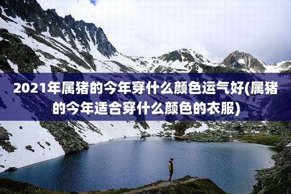2021年属猪的今年穿什么颜色运气好(属猪的今年适合穿什么颜色的衣服)
