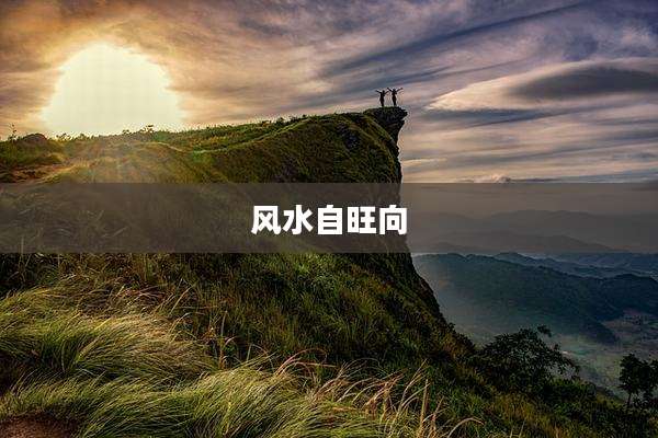 风水自旺向