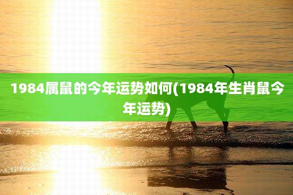 1984属鼠的今年运势如何(1984年生肖鼠今年运势)
