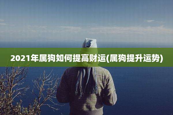 2021年属狗如何提高财运(属狗提升运势)