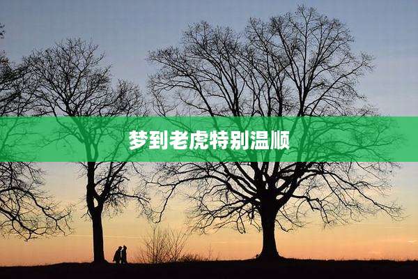 梦到老虎特别温顺