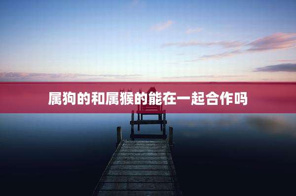 属狗的和属猴的能在一起合作吗