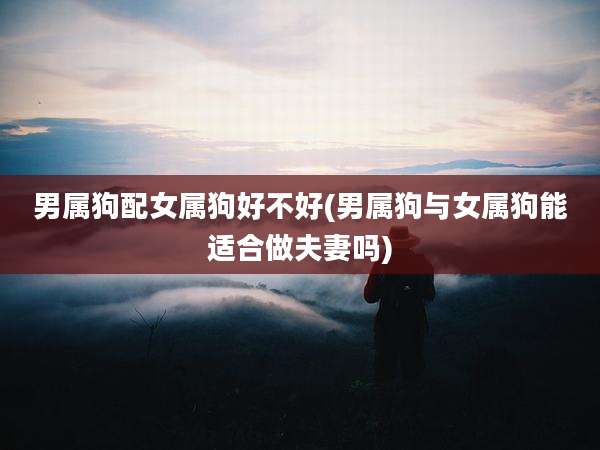 男属狗配女属狗好不好(男属狗与女属狗能适合做夫妻吗)