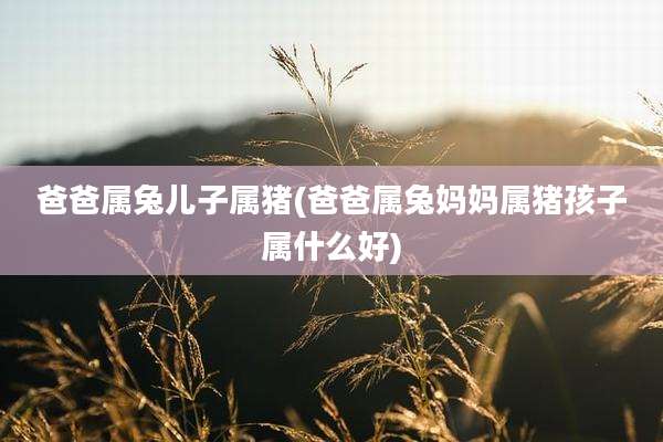 爸爸属兔儿子属猪(爸爸属兔妈妈属猪孩子属什么好)