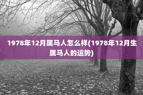 1978年12月属马人怎么样(1978年12月生属马人的运势)