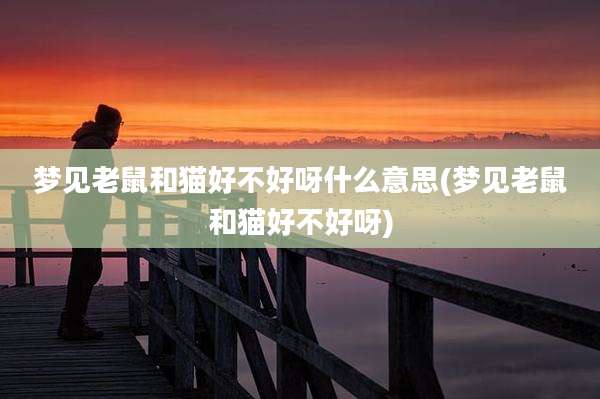 梦见老鼠和猫好不好呀什么意思(梦见老鼠和猫好不好呀)