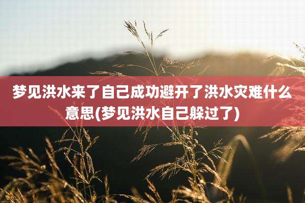 梦见洪水来了自己成功避开了洪水灾难什么意思(梦见洪水自己躲过了)