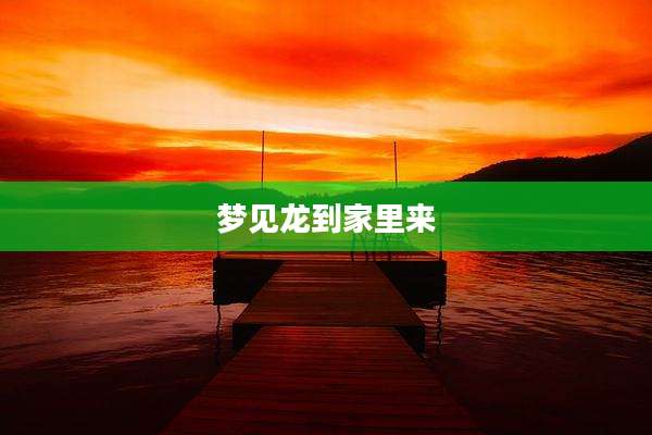 梦见龙到家里来