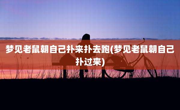 梦见老鼠朝自己扑来扑去跑(梦见老鼠朝自己扑过来)