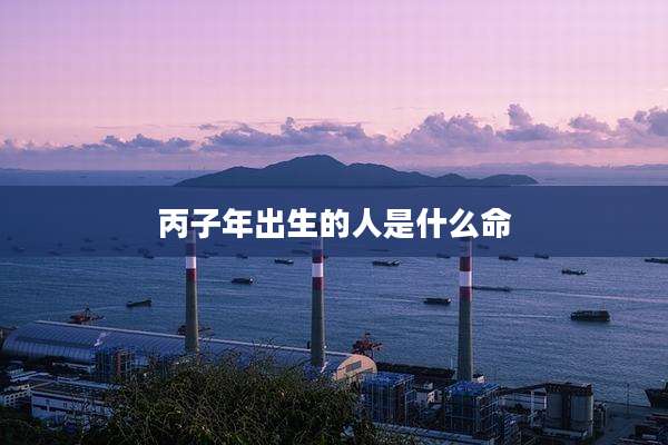丙子年出生的人是什么命