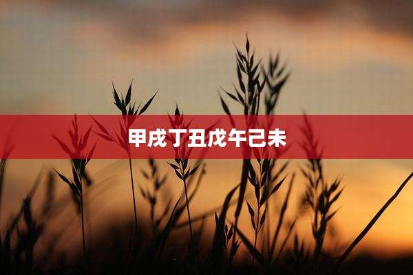 甲戌丁丑戊午己未