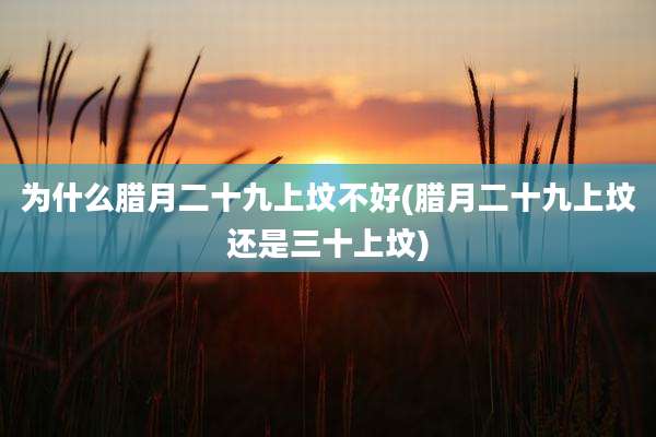 为什么腊月二十九上坟不好(腊月二十九上坟还是三十上坟)