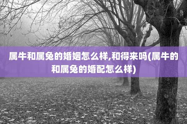 属牛和属兔的婚姻怎么样,和得来吗(属牛的和属兔的婚配怎么样)