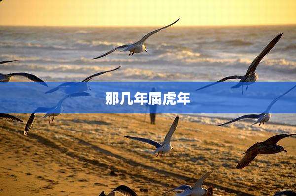 那几年属虎年