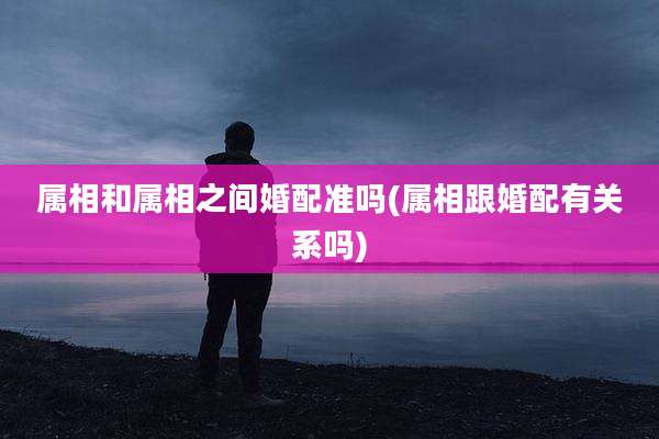 属相和属相之间婚配准吗(属相跟婚配有关系吗)