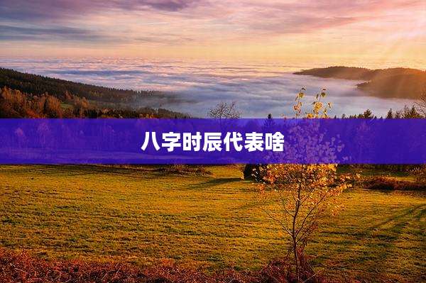 八字时辰代表啥
