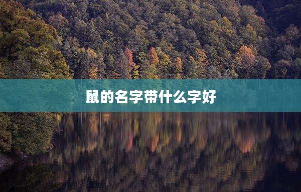 鼠的名字带什么字好