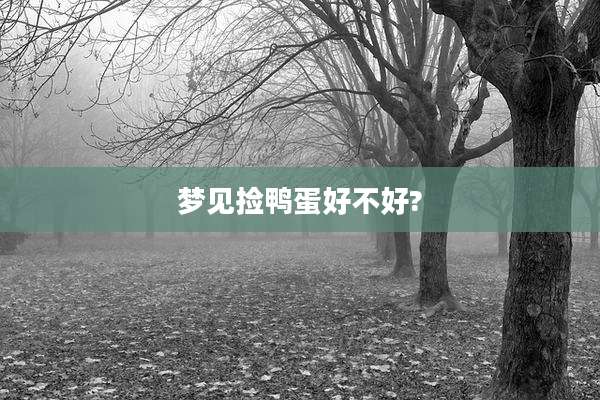 梦见捡鸭蛋好不好?