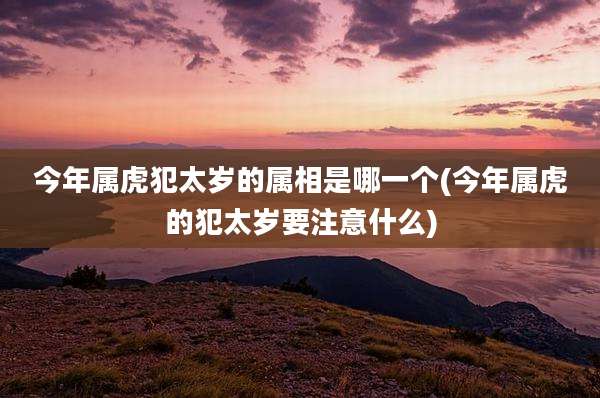 今年属虎犯太岁的属相是哪一个(今年属虎的犯太岁要注意什么)