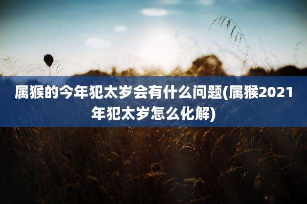 属猴的今年犯太岁会有什么问题(属猴2021年犯太岁怎么化解)