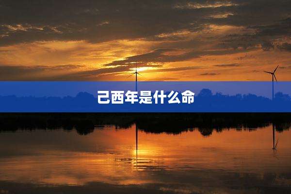 己西年是什么命