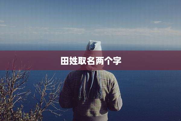 田姓取名两个字