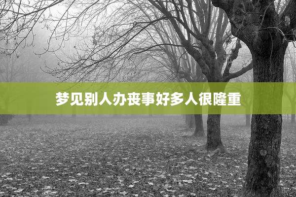 梦见别人办丧事好多人很隆重