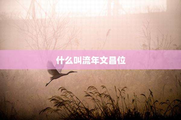 什么叫流年文昌位